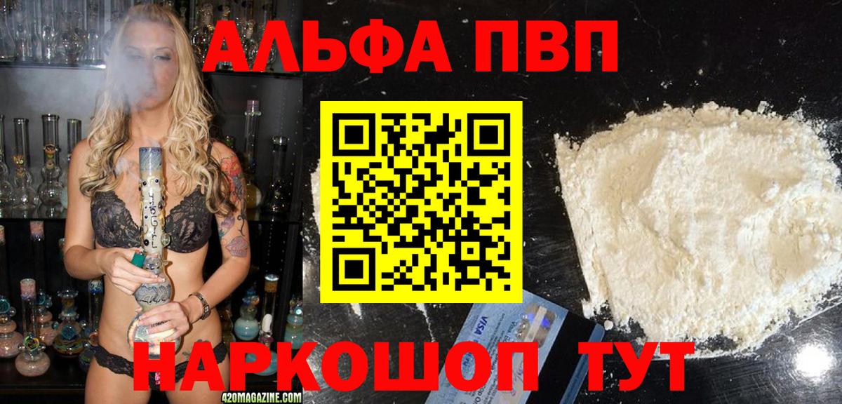 Альфа ПВП СК Грозный
