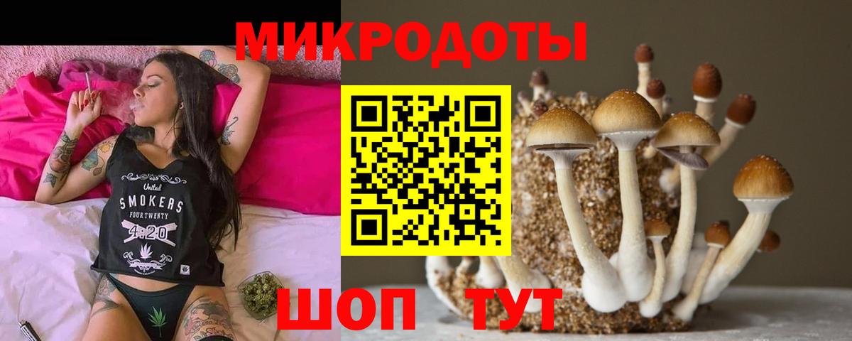 сколько стоит  Галлюциногенные грибы Psilocybine cubensis  Вход с VPN  Грозный 